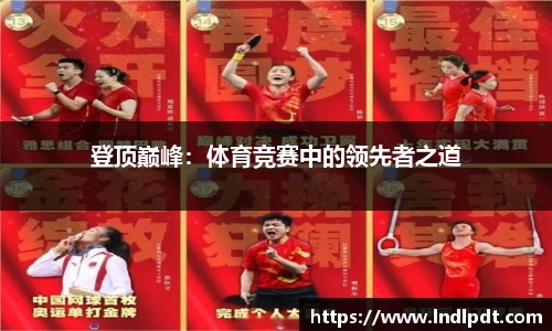 德信体育