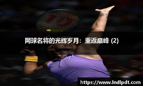 网球名将的光辉岁月：重返巅峰 (2)