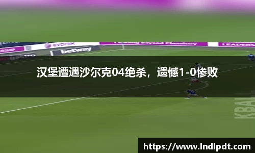 汉堡遭遇沙尔克04绝杀，遗憾1-0惨败