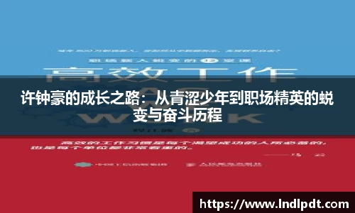 德信体育官方网站