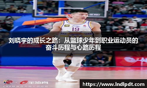 德信体育官方网站